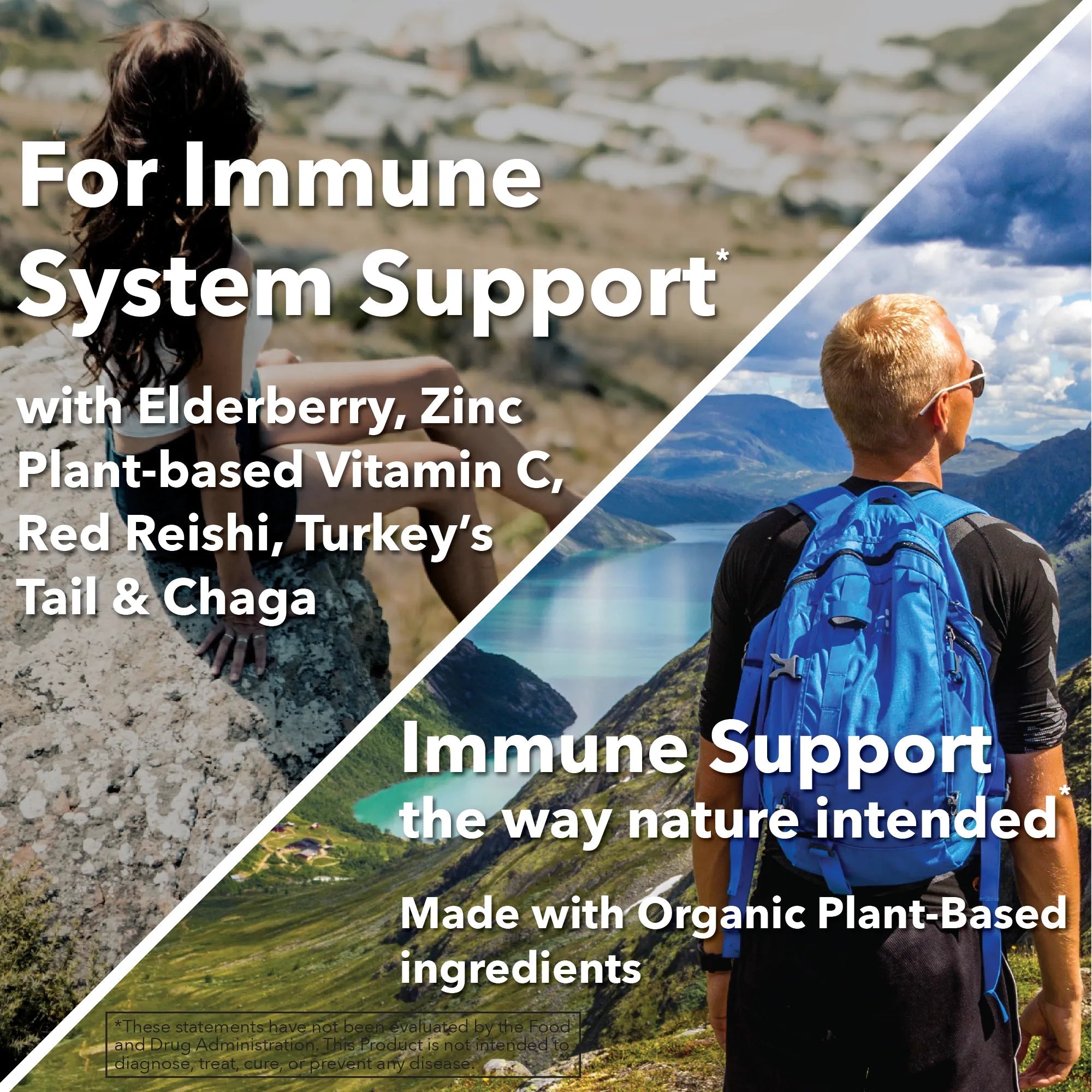 Plant - Based Immunity Vitamin C, Elderberry, Zinc & Adaptogens Capsules - True Formulas