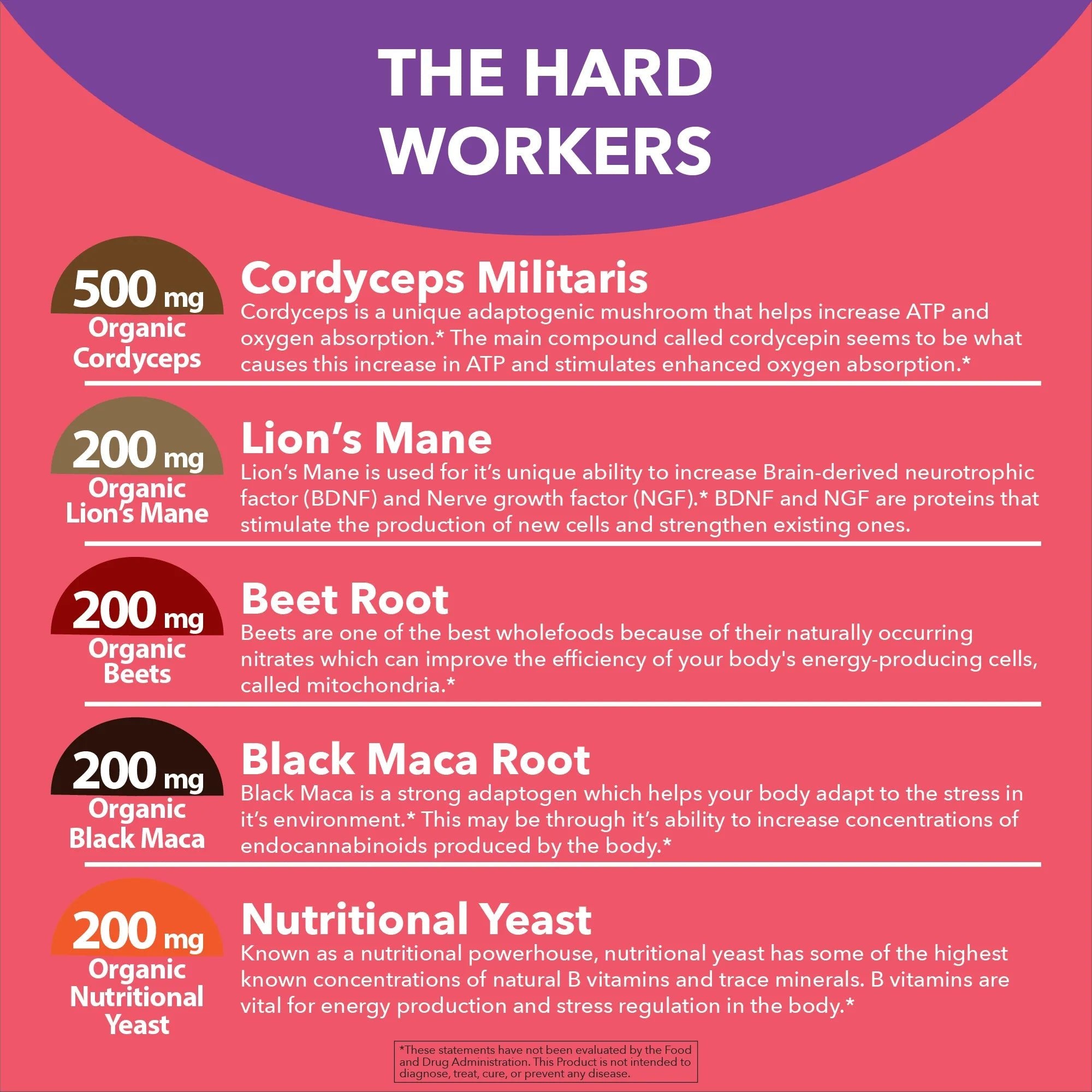 Plant - Based Natural Energy Blend (Caffeine - Free) - True Formulas