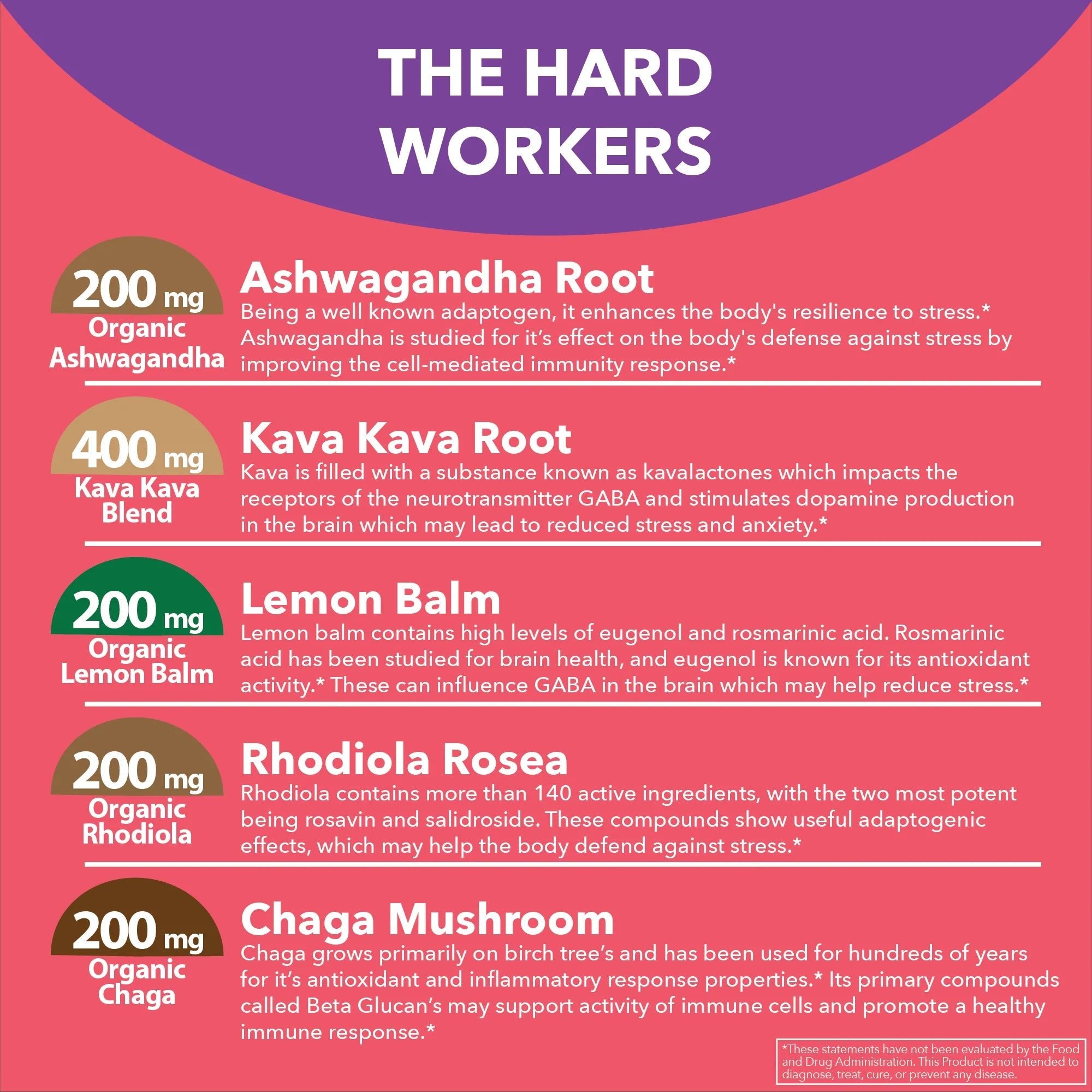 Plant - Based Stress Support Capsules - True Formulas