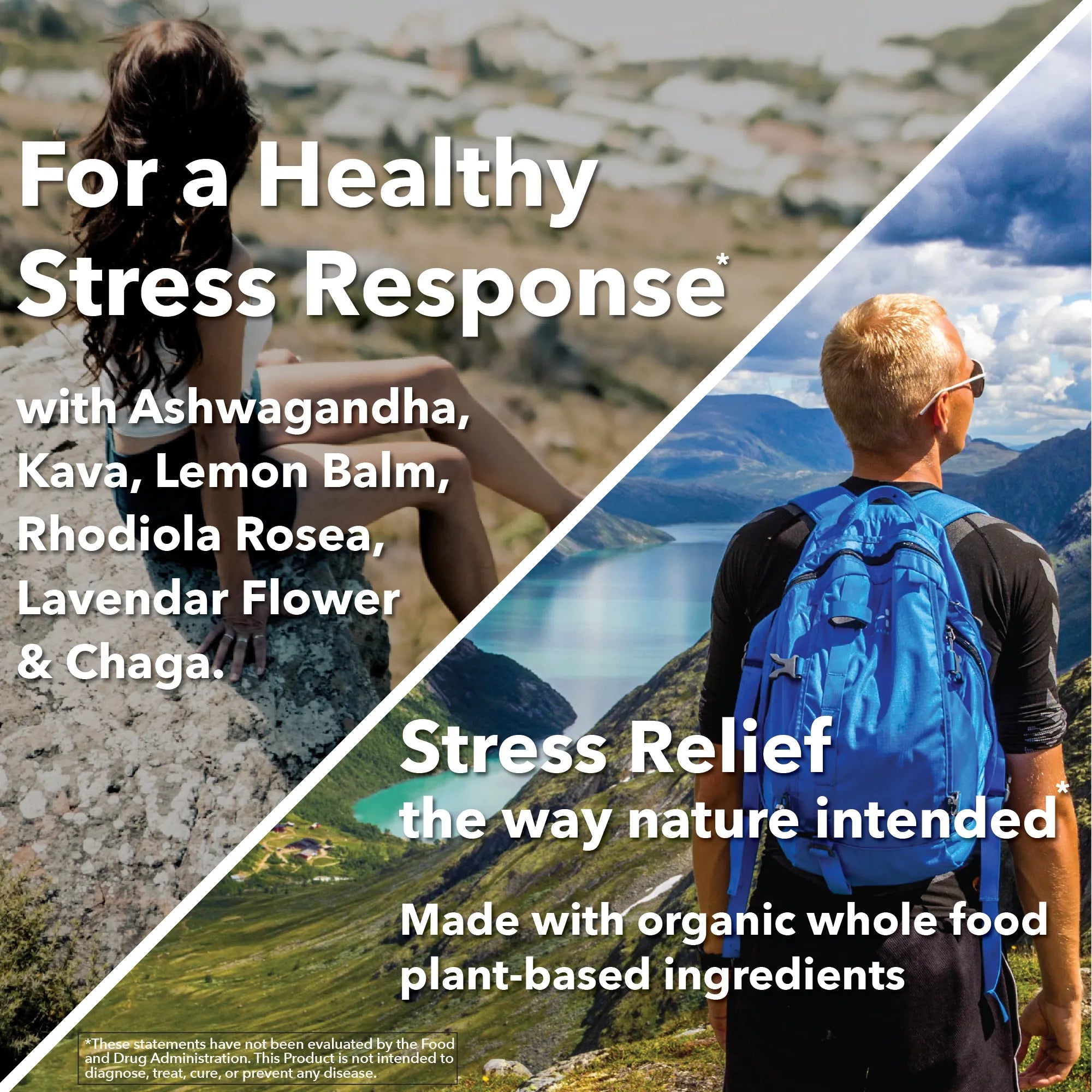 Plant - Based Stress Support Capsules - True Formulas