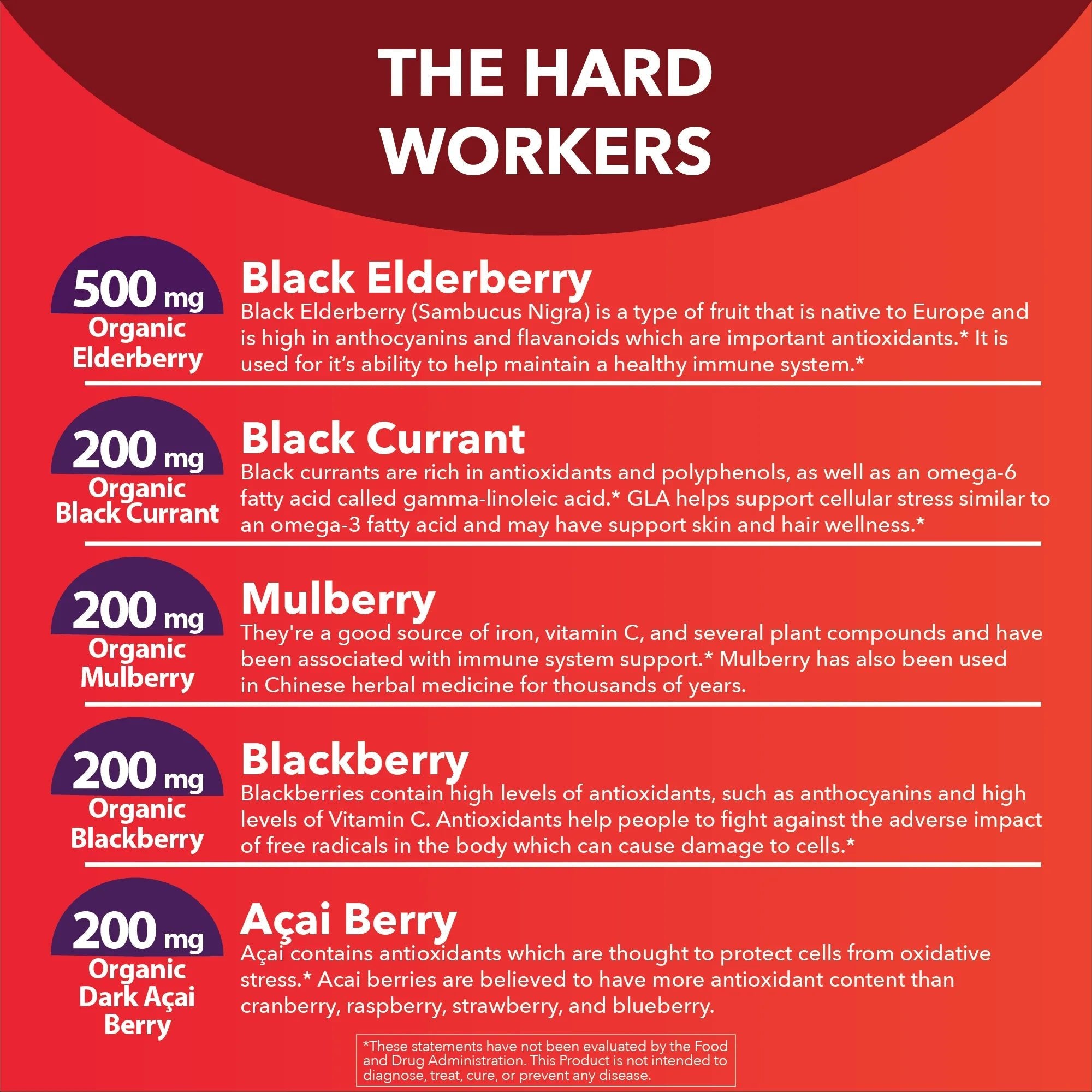 Whole food Elderberry & Dark Berry Blend - True Formulas