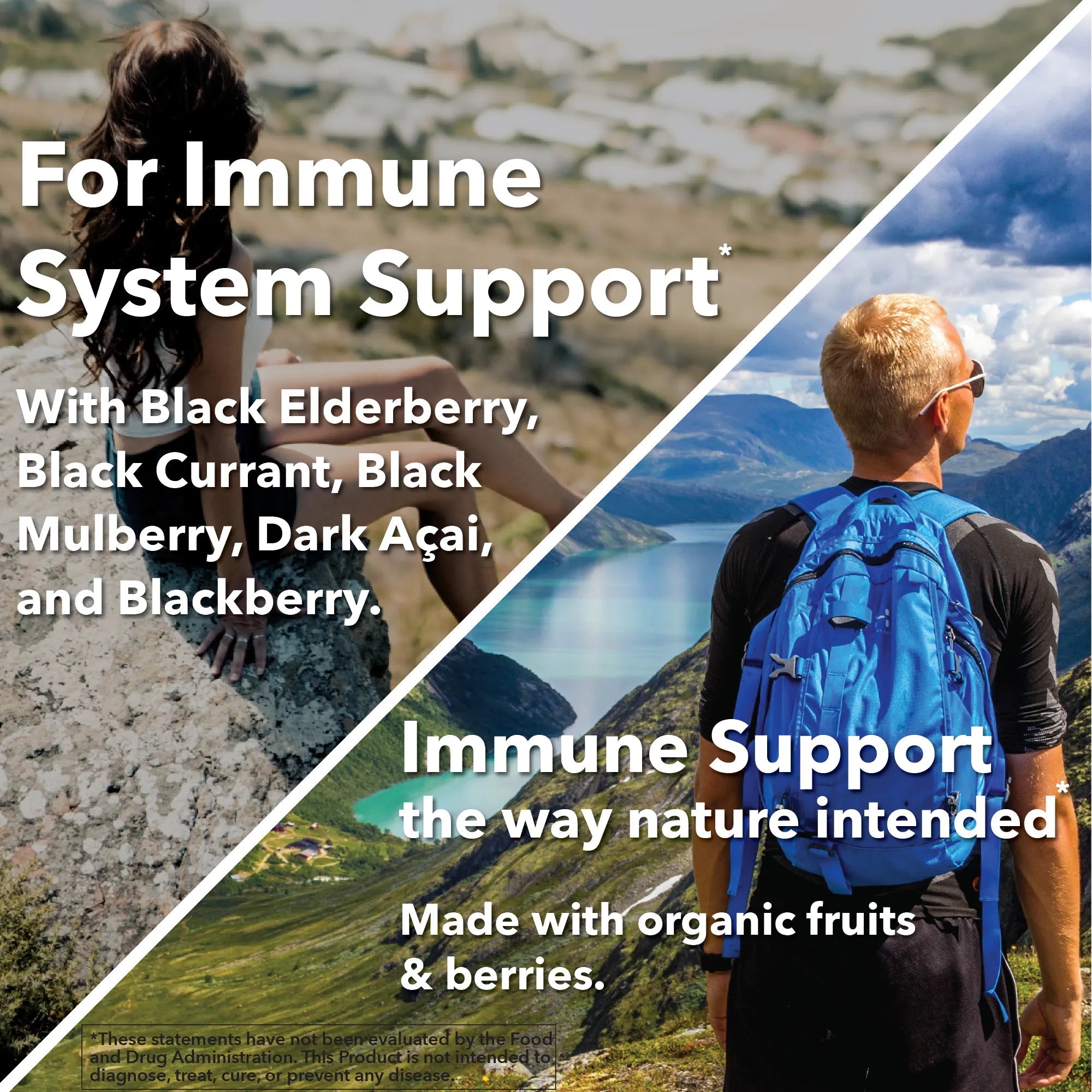 Whole food Elderberry & Dark Berry Blend - True Formulas