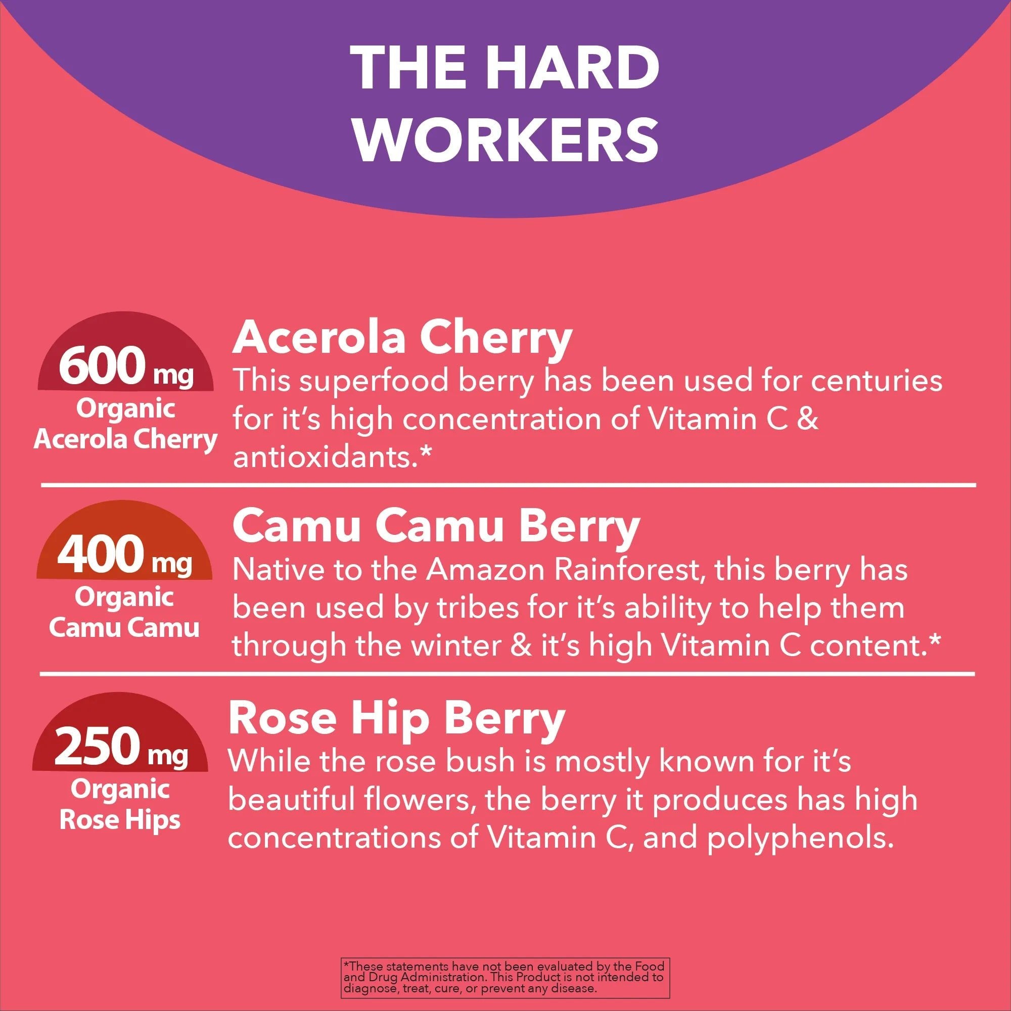 Whole food Vitamin C from Acerola Cherry, Camu Camu & Rose Hips - True Formulas